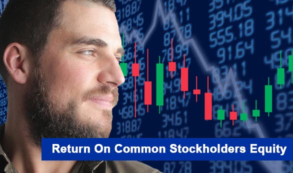 Return On Common Stockholders Equity 2024