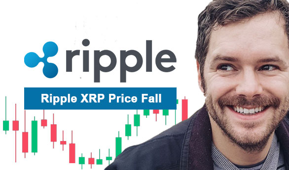 Ripple XRP Price Fall 2024