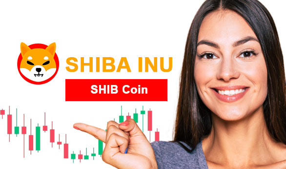 Shib Coin 2024
