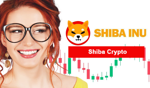Shiba Crypto 2024