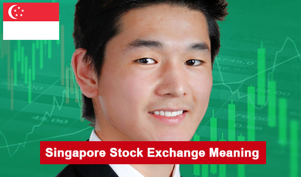 Singapore Stock Exchange Meaning 2022