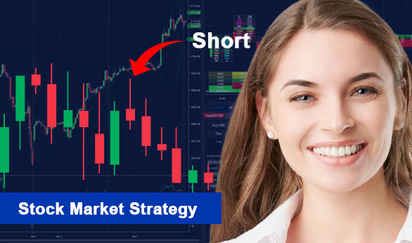 Stock Market Strategy 2024