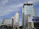 How To Buy China Mobile Stock