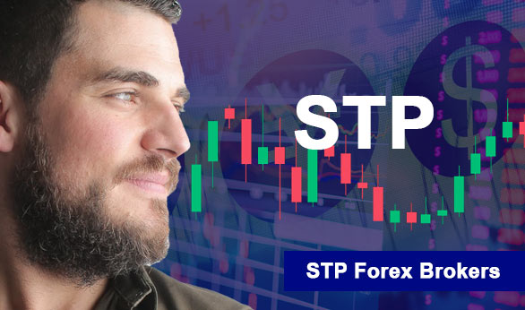 STP Forex Brokers 2025