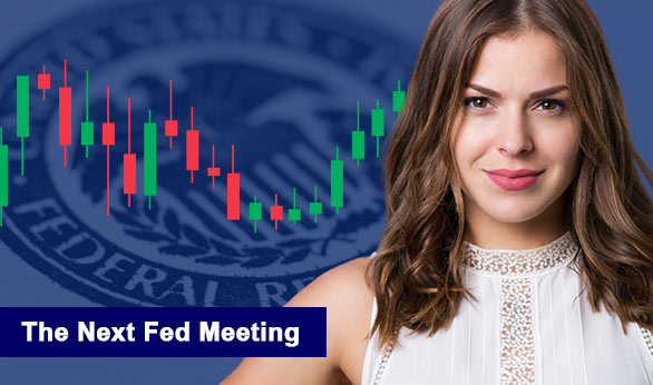 The Next Fed Meeting 2024