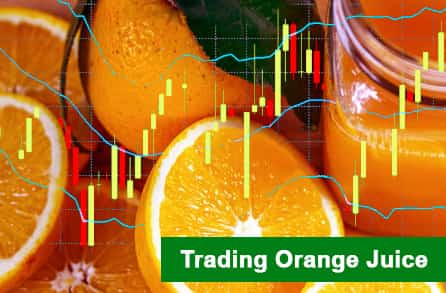 Trading orange juice 2024