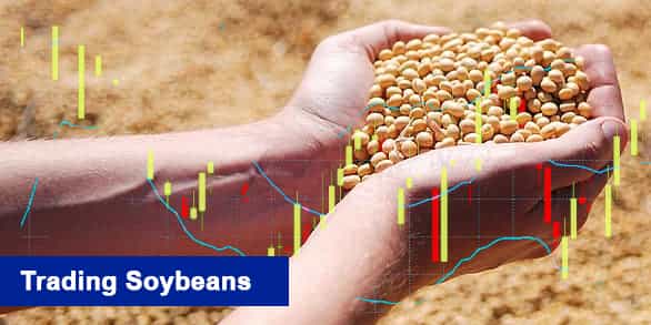 Trading Soybeans 2022