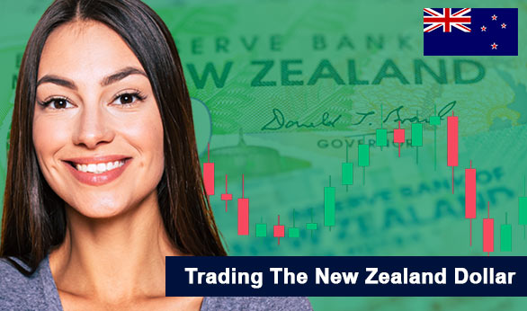 Trading the New Zealand Dollar 2024