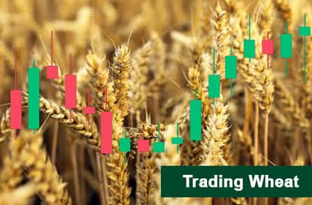 Trading wheat 2022