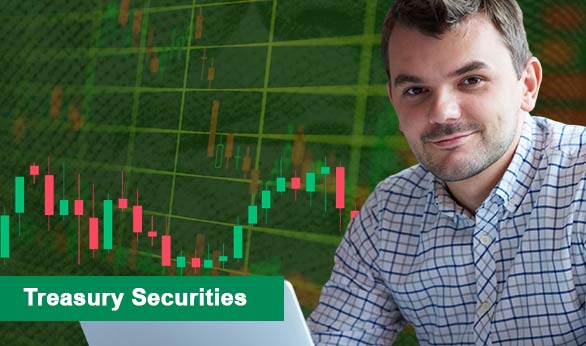 Treasury Securities 2025