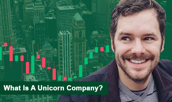 What Is A Unicorn Company 2022