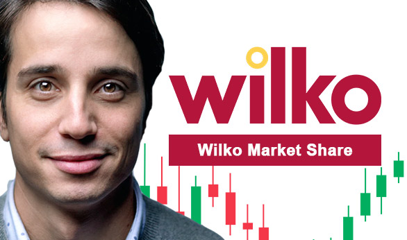 Wilko Market Share 2025 Wilko Market Share 2025